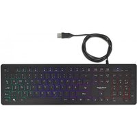 Delock USB Tastatur kabelgebunden 1,5 m schwarz mit RGB Beleuchtung (12625)